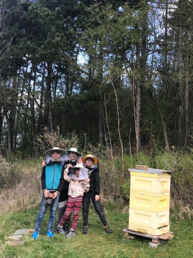 Rozšíření včelstva